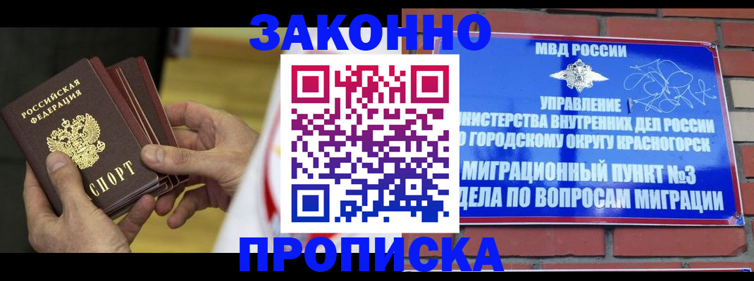 прописка для школы в Ленинградской области